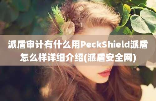 派盾审计有什么用PeckShield派盾怎么样详细介绍(派盾安全网)