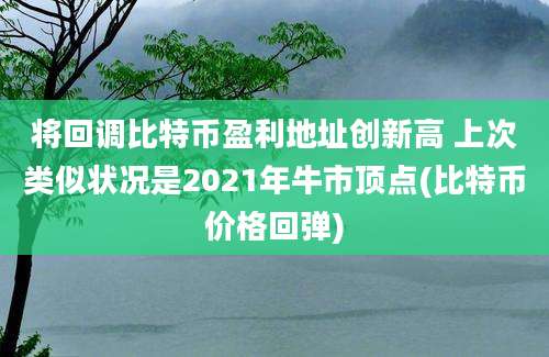 将回调比特币盈利地址创新高 上次类似状况是2021年牛市顶点(比特币价格回弹)