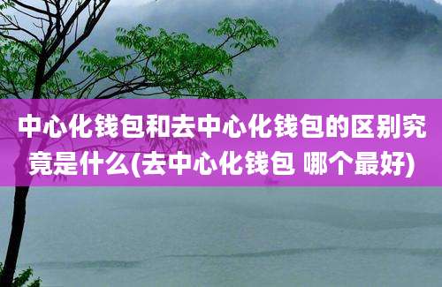 中心化钱包和去中心化钱包的区别究竟是什么(去中心化钱包 哪个最好)