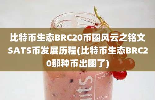 比特币生态BRC20币圈风云之铭文SATS币发展历程(比特币生态BRC20那种币出圈了)