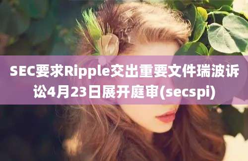 SEC要求Ripple交出重要文件瑞波诉讼4月23日展开庭审(secspi)