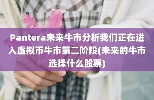 Pantera未来牛市分析我们正在进入虚拟币牛市第二阶段(未来的牛市选择什么股票)