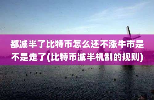 都减半了比特币怎么还不涨牛市是不是走了(比特币减半机制的规则)