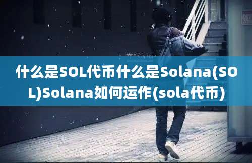 什么是SOL代币什么是Solana(SOL)Solana如何运作(sola代币)