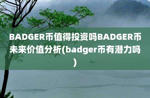 BADGER币值得投资吗BADGER币未来价值分析(badger币有潜力吗)