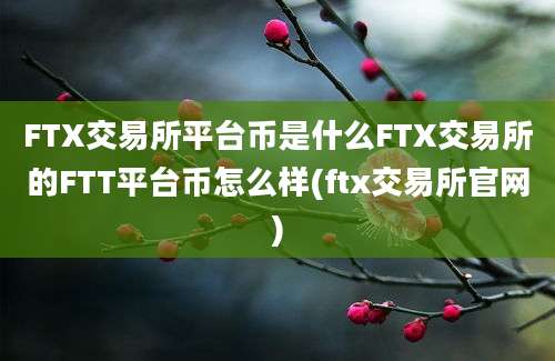 FTX交易所平台币是什么FTX交易所的FTT平台币怎么样(ftx交易所官网)