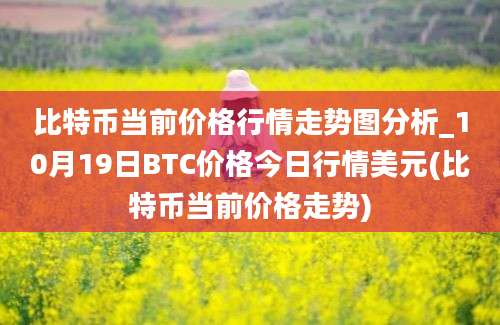 比特币当前价格行情走势图分析_10月19日BTC价格今日行情美元(比特币当前价格走势)