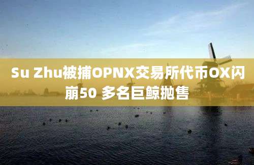 Su Zhu被捕OPNX交易所代币OX闪崩50 多名巨鲸抛售