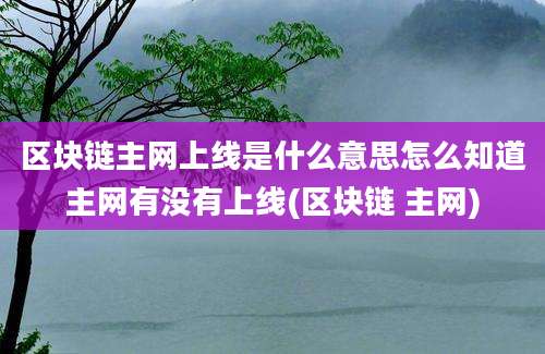 区块链主网上线是什么意思怎么知道主网有没有上线(区块链 主网)