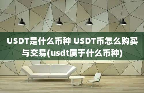 USDT是什么币种 USDT币怎么购买与交易(usdt属于什么币种)