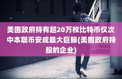 美国政府持有超20万枚比特币仅次中本聪币安成最大巨鲸(美国政府持股的企业)