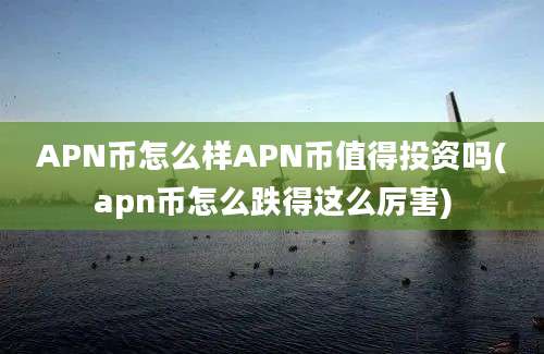 APN币怎么样APN币值得投资吗(apn币怎么跌得这么厉害)