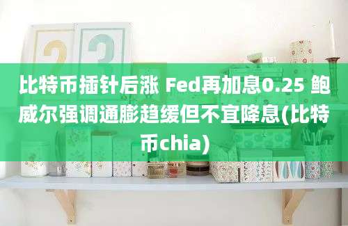 比特币插针后涨 Fed再加息0.25 鲍威尔强调通膨趋缓但不宜降息(比特币chia)