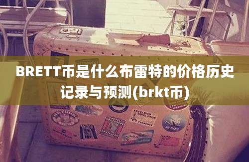 BRETT币是什么布雷特的价格历史记录与预测(brkt币)