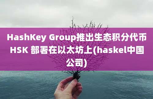 HashKey Group推出生态积分代币HSK 部署在以太坊上(haskel中国公司)