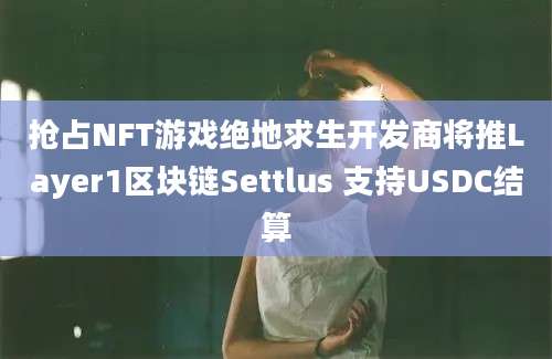 抢占NFT游戏绝地求生开发商将推Layer1区块链Settlus 支持USDC结算