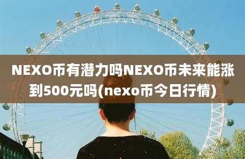 NEXO币有潜力吗NEXO币未来能涨到500元吗(nexo币今日行情)