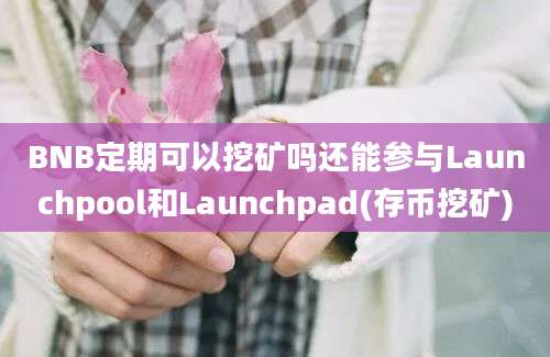 BNB定期可以挖矿吗还能参与Launchpool和Launchpad(存币挖矿)