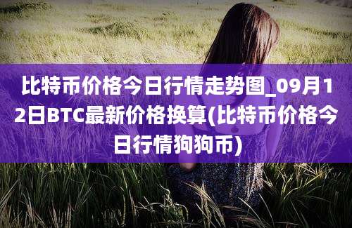 比特币价格今日行情走势图_09月12日BTC最新价格换算(比特币价格今日行情狗狗币)