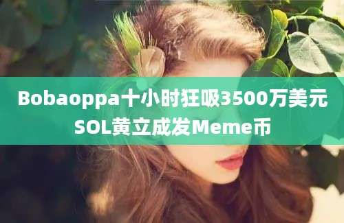 Bobaoppa十小时狂吸3500万美元SOL黄立成发Meme币