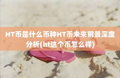 HT币是什么币种HT币未来前景深度分析(ht这个币怎么样)