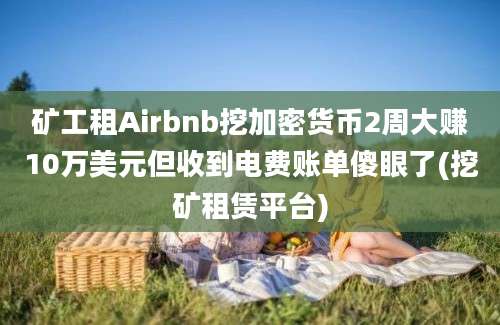 矿工租Airbnb挖加密货币2周大赚10万美元但收到电费账单傻眼了(挖矿租赁平台)