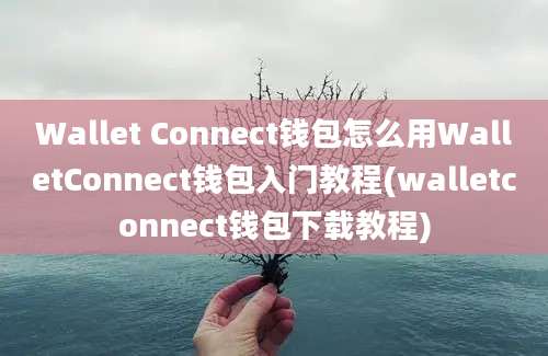 Wallet Connect钱包怎么用WalletConnect钱包入门教程(walletconnect钱包下载教程)