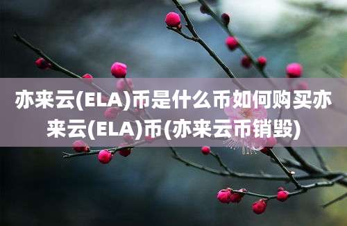 亦来云(ELA)币是什么币如何购买亦来云(ELA)币(亦来云币销毁)