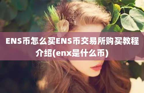 ENS币怎么买ENS币交易所购买教程介绍(enx是什么币)