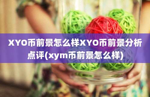 XYO币前景怎么样XYO币前景分析点评(xym币前景怎么样)