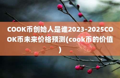 COOK币创始人是谁2023-2025COOK币未来价格预测(cook币的价值)