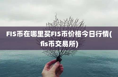 FIS币在哪里买FIS币价格今日行情(fis币交易所)