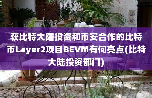 获比特大陆投资和币安合作的比特币Layer2项目BEVM有何亮点(比特大陆投资部门)