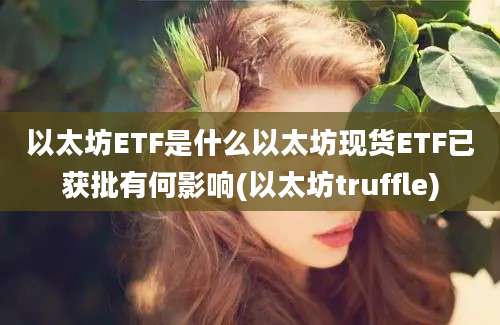 以太坊ETF是什么以太坊现货ETF已获批有何影响(以太坊truffle)