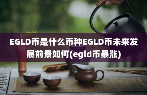 EGLD币是什么币种EGLD币未来发展前景如何(egld币暴涨)