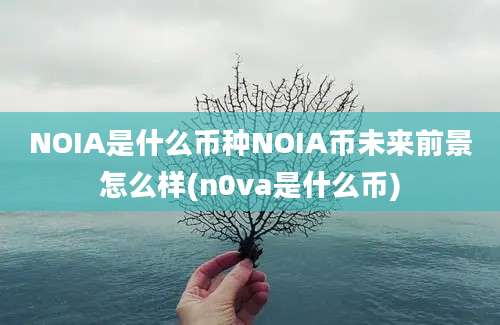 NOIA是什么币种NOIA币未来前景怎么样(n0va是什么币)