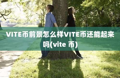 VITE币前景怎么样VITE币还能起来吗(vite 币)