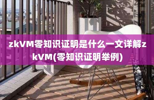 zkVM零知识证明是什么一文详解zkVM(零知识证明举例)