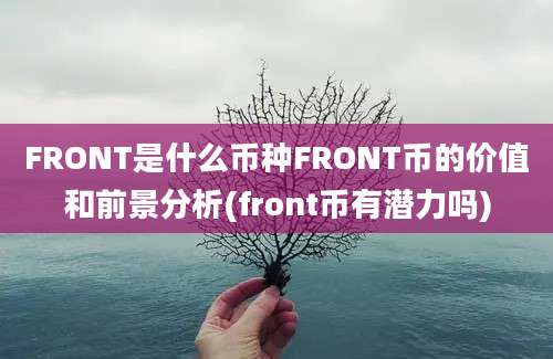 FRONT是什么币种FRONT币的价值和前景分析(front币有潜力吗)