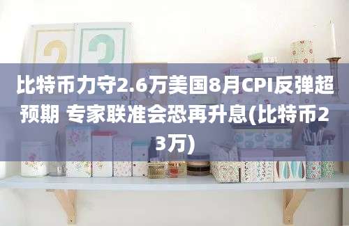 比特币力守2.6万美国8月CPI反弹超预期 专家联准会恐再升息(比特币23万)