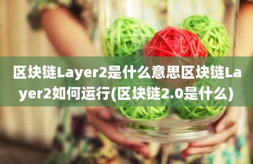 区块链Layer2是什么意思区块链Layer2如何运行(区块链2.0是什么)