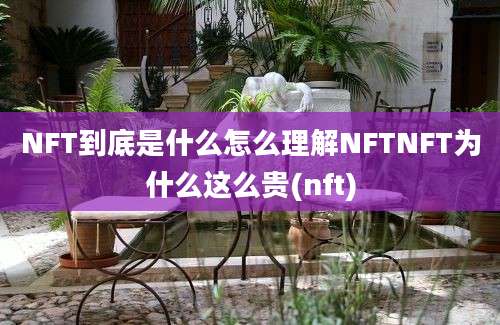 NFT到底是什么怎么理解NFTNFT为什么这么贵(nft)