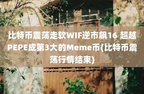 比特币震荡走软WIF逆市飙16 超越PEPE成第3大的Meme币(比特币震荡行情结束)