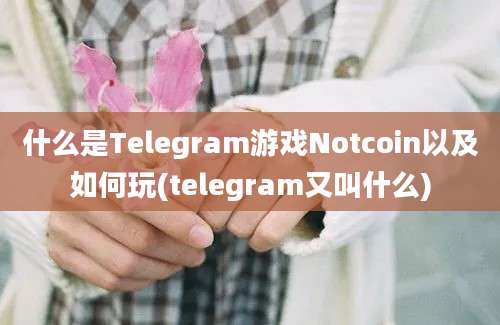 什么是Telegram游戏Notcoin以及如何玩(telegram又叫什么)