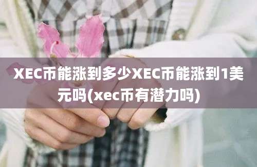 XEC币能涨到多少XEC币能涨到1美元吗(xec币有潜力吗)