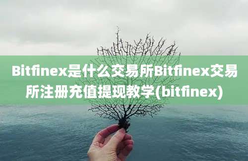 Bitfinex是什么交易所Bitfinex交易所注册充值提现教学(bitfinex)