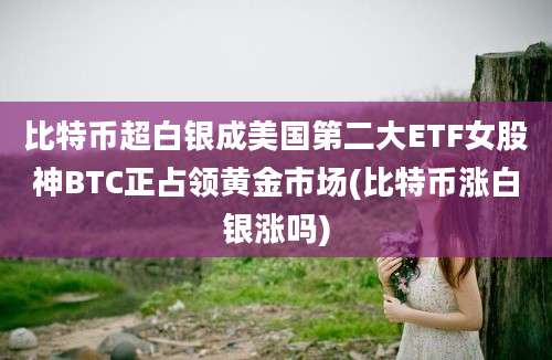 比特币超白银成美国第二大ETF女股神BTC正占领黄金市场(比特币涨白银涨吗)