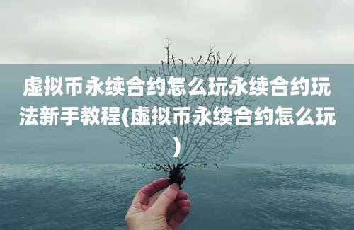 虚拟币永续合约怎么玩永续合约玩法新手教程(虚拟币永续合约怎么玩)