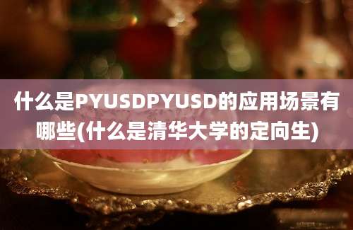 什么是PYUSDPYUSD的应用场景有哪些(什么是清华大学的定向生)