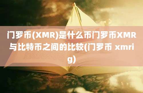 门罗币(XMR)是什么币门罗币XMR与比特币之间的比较(门罗币 xmrig)